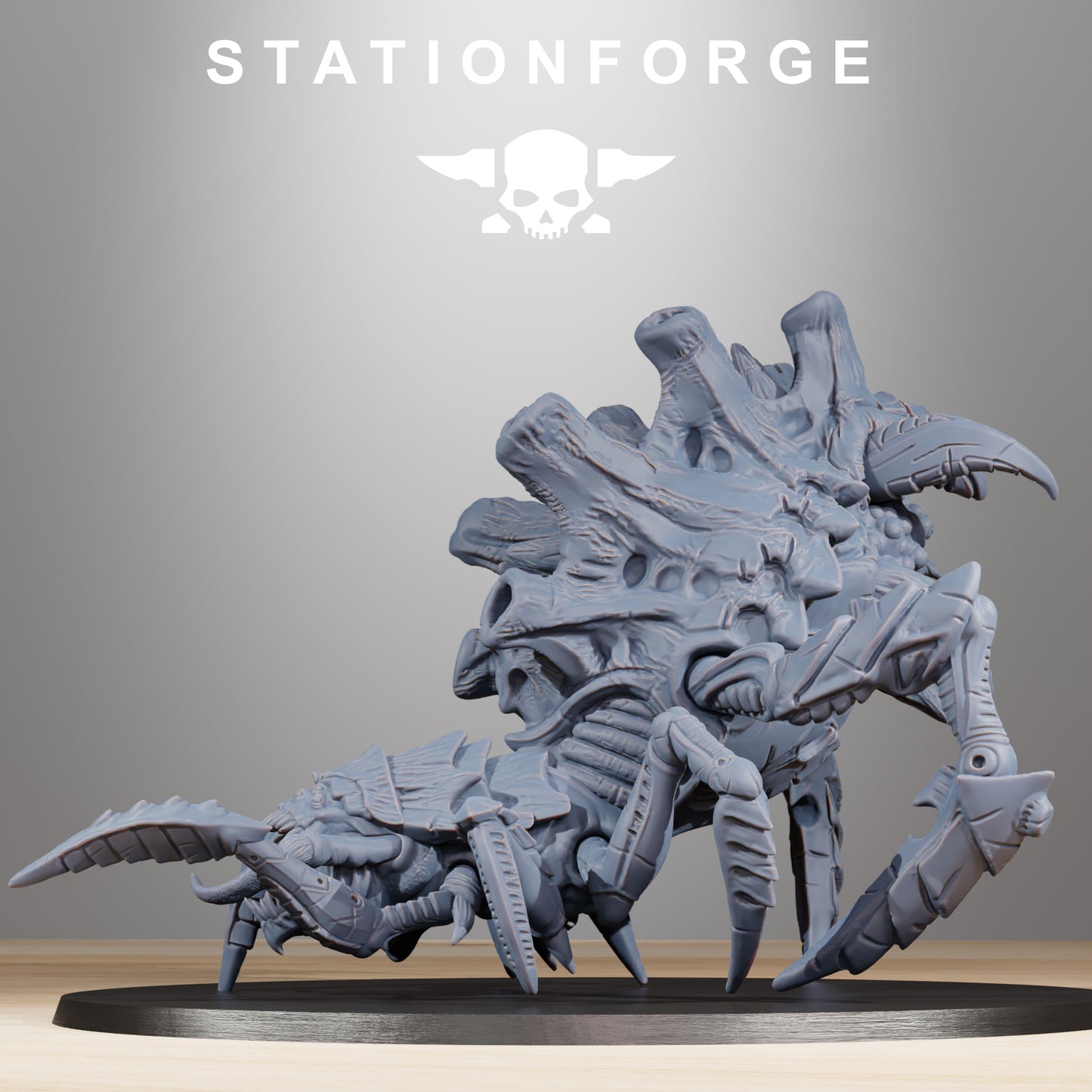 Araignée Xenaride - Station Forge