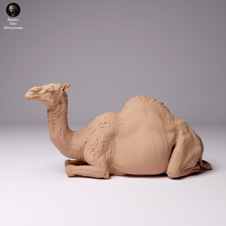 Dromedary Camel Female Lying - Animal Den Miniatures