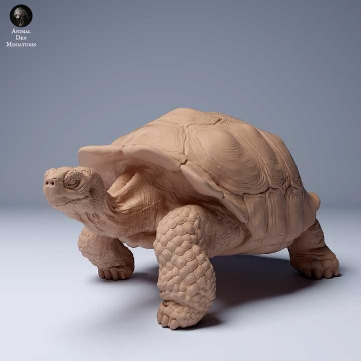 Galápagos giant tortoise - Animal Den Miniatures