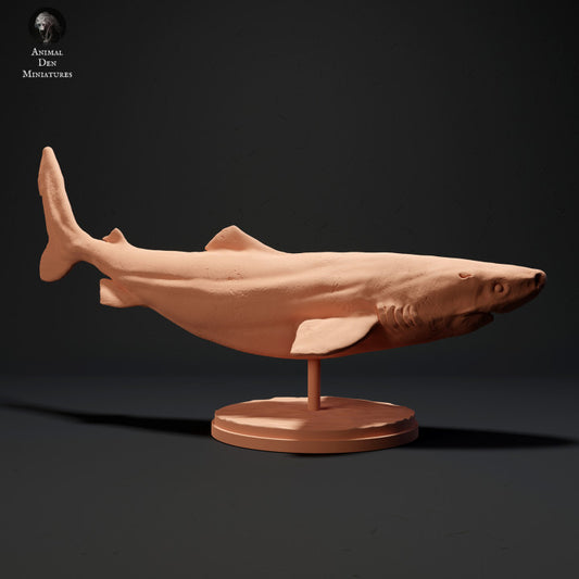 Greenland Shark - Animal Den Miniatures