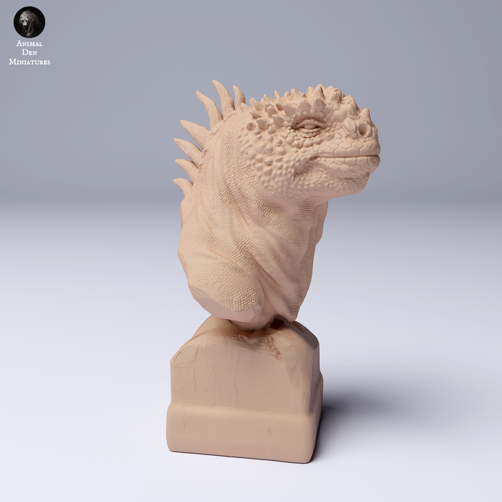 Marine Iguana Bust - Animal Den Miniatures