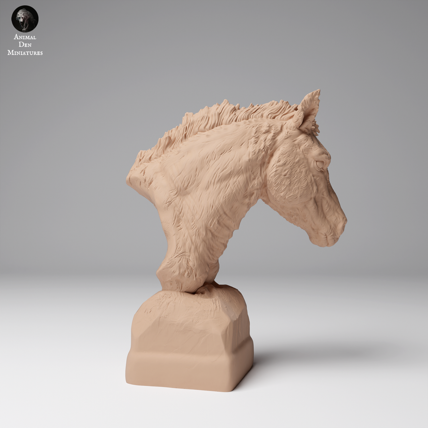 Przewalski's Horse Bust - Animal Den Miniatures