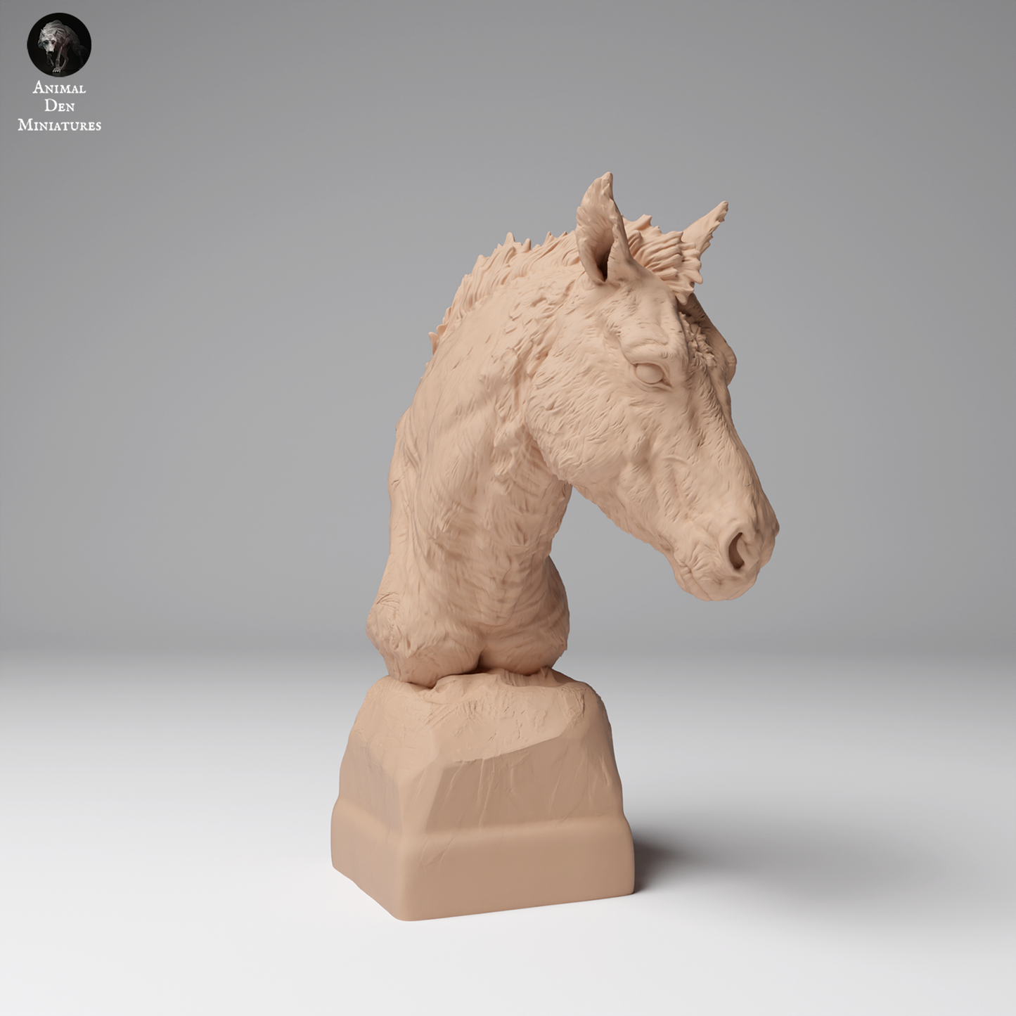 Przewalski's Horse Bust - Animal Den Miniatures