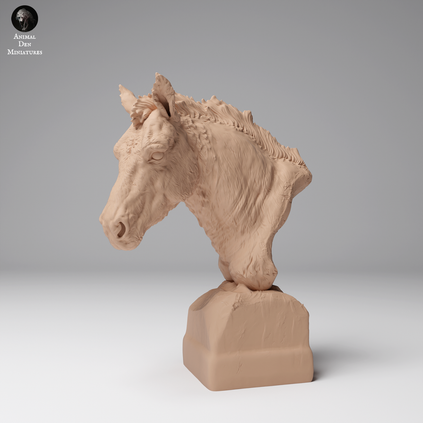 Przewalski's Horse Bust - Animal Den Miniatures