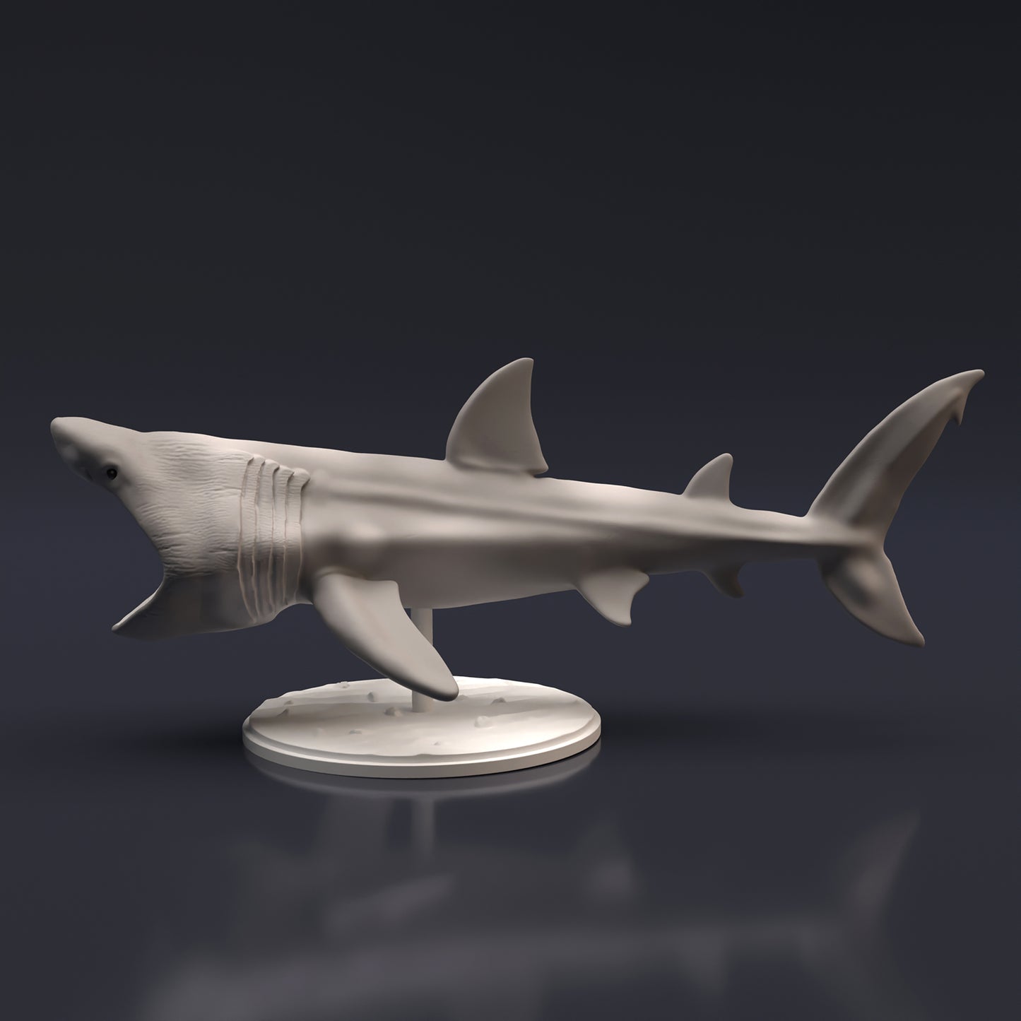 Basking Shark - Animal Den Miniatures