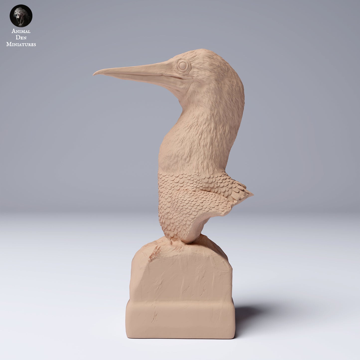 Blue Footed Booby Bust - Animal Den Miniatures