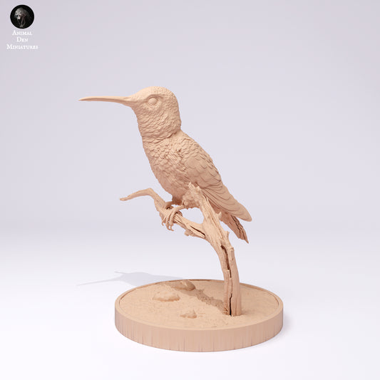 Broad Tailed Hummingbird Standing - Animal Den Miniatures