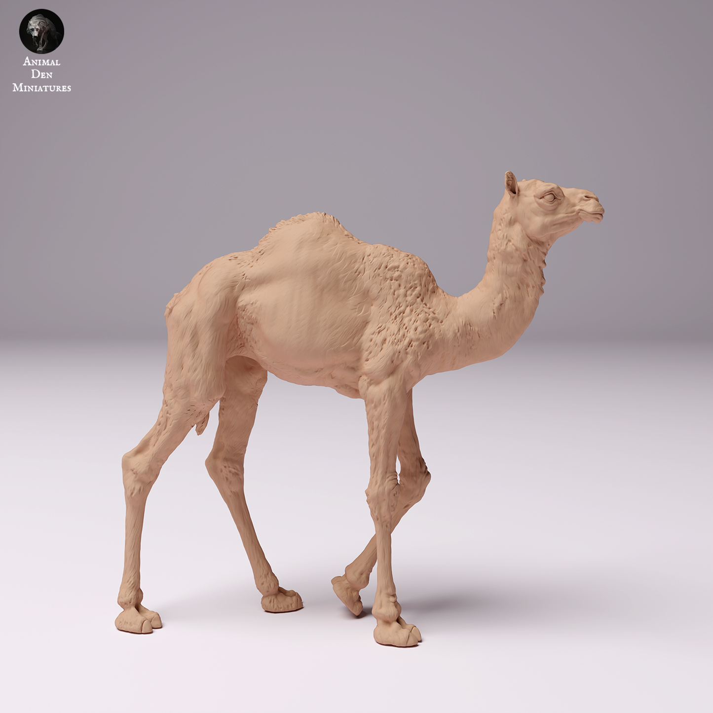 Dromedary Camel Calf - Animal Den Miniatures