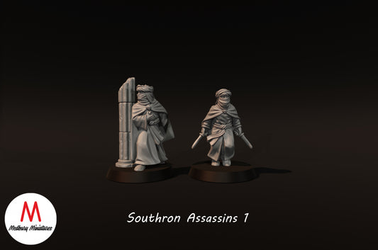 Assassins du Sud 1 - Medbury Miniatures