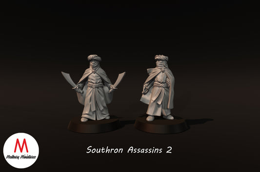 Assassins du Sud 2 - Miniatures de Medbury