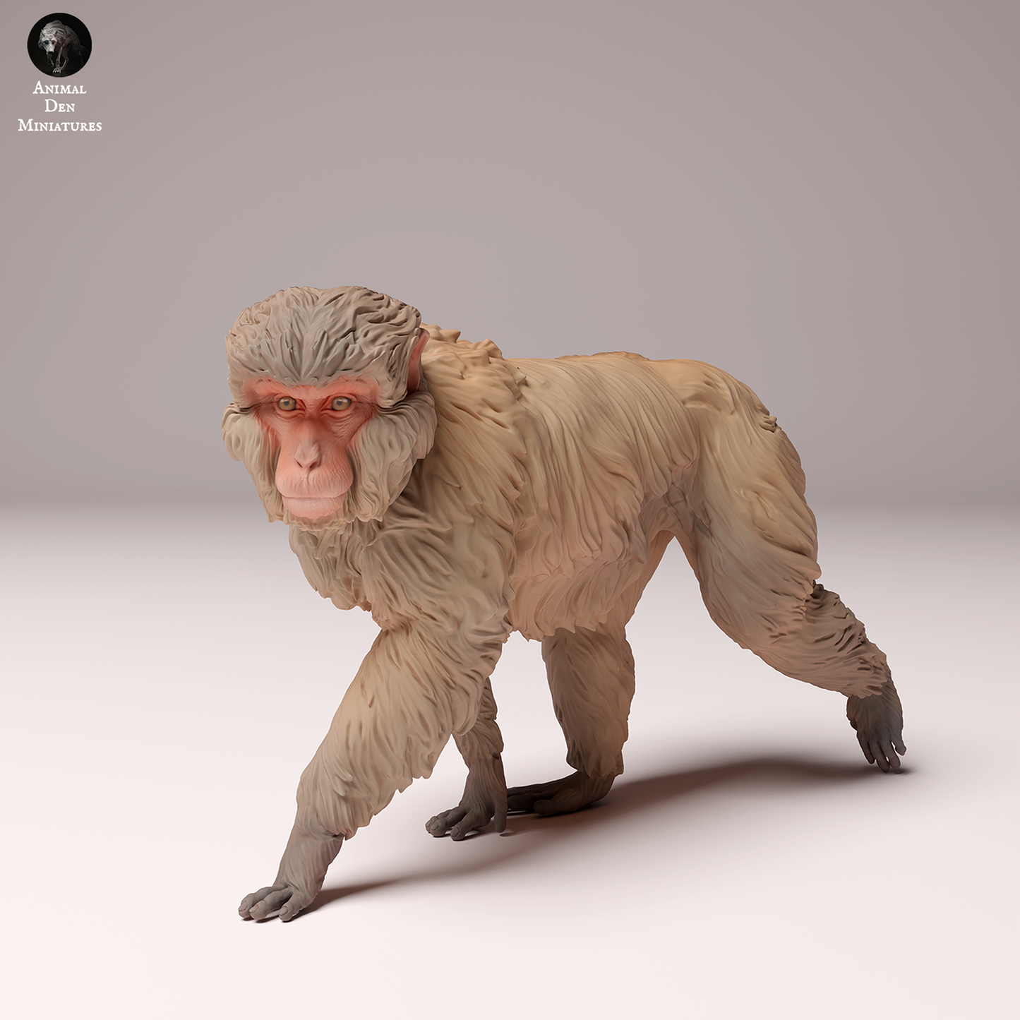 Snow Monkey (Japanese Macaque) - Animal Den Miniatures