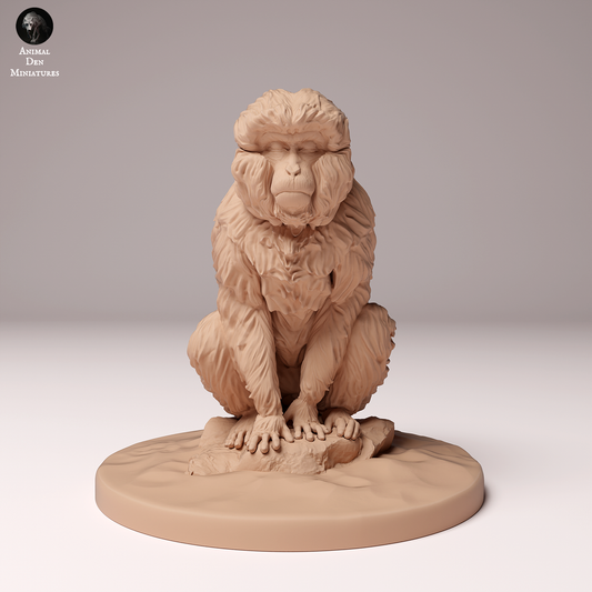 Snow Monkey (Japanese Macaque) Sitting - Animal Den Miniatures