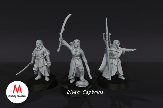 Capitaines elfiques - Medbury Miniatures