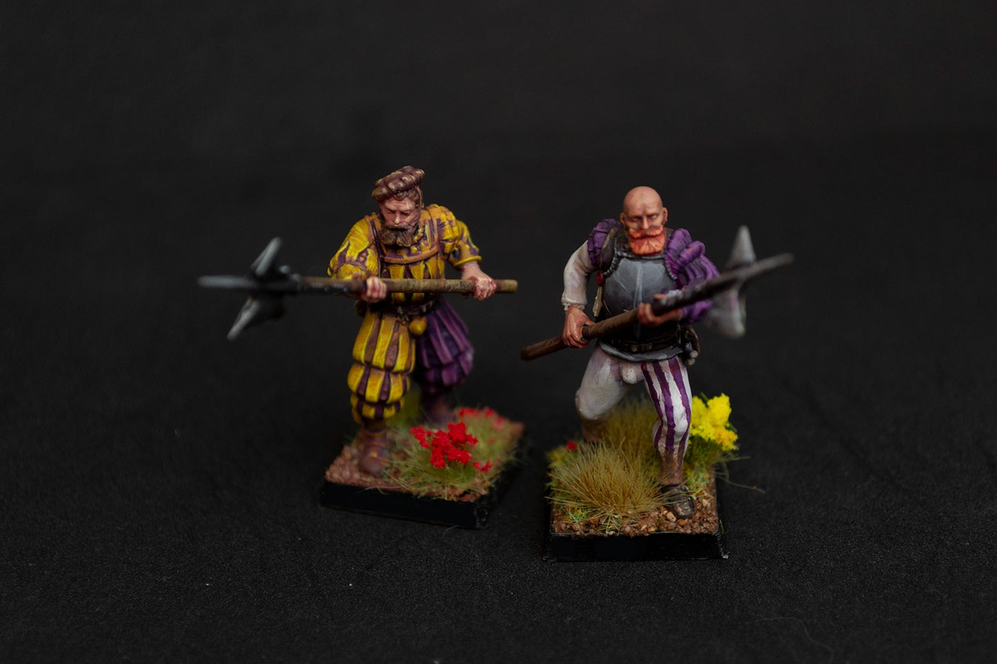 Troupes impériales de Sunland - Highlands Miniatures