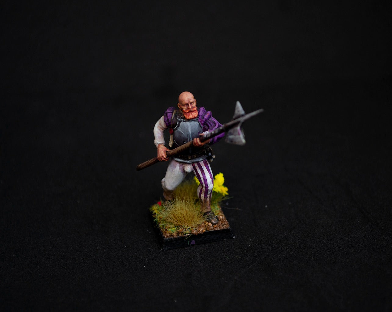 Troupes impériales de Sunland - Highlands Miniatures