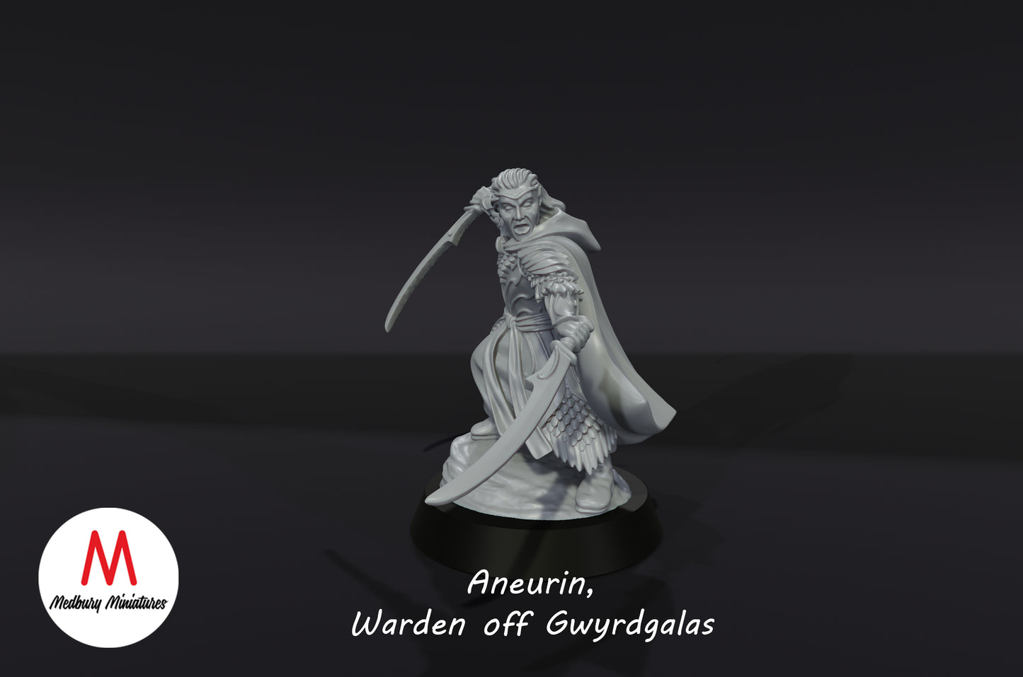 Aneurin, gardien de Gwyrdgalas - Medbury Miniatures